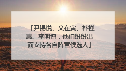 尹锡悦、文在寅、朴槿惠、李明博，他们纷纷出面支持各自阵营候选人