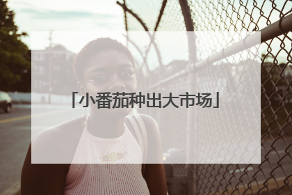小番茄种出大市场