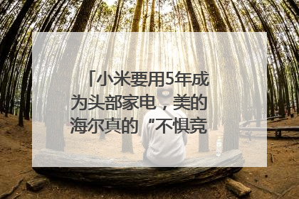 小米要用5年成为头部家电，美的海尔真的“不惧竞争”？｜热财经