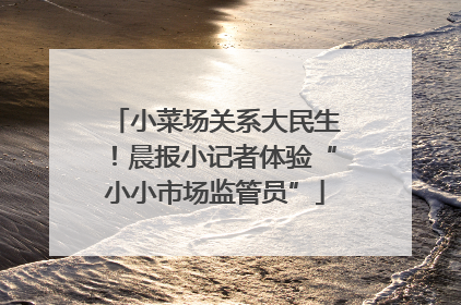 小菜场关系大民生！晨报小记者体验“小小市场监管员”