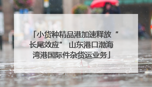 小货种精品港加速释放“长尾效应” 山东港口渤海湾港国际件杂货运业务