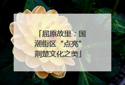 屈原故里：国潮街区“点亮”荆楚文化之美