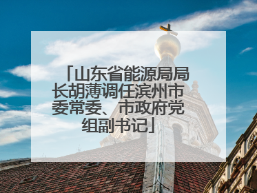 山东省能源局局长胡薄调任滨州市委常委、市政府党组副书记