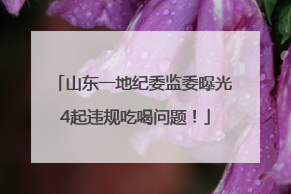 山东一地纪委监委曝光4起违规吃喝问题！