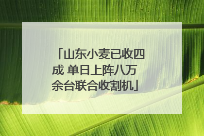 山东小麦已收四成 单日上阵八万余台联合收割机