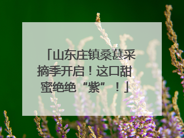 山东庄镇桑葚采摘季开启！这口甜蜜绝绝“紫”！