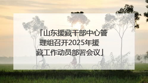 山东援藏干部中心管理组召开2025年援藏工作动员部署会议