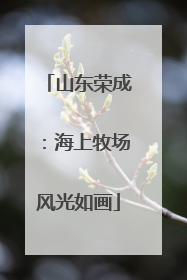山东荣成：海上牧场风光如画