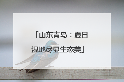 山东青岛：夏日湿地尽显生态美