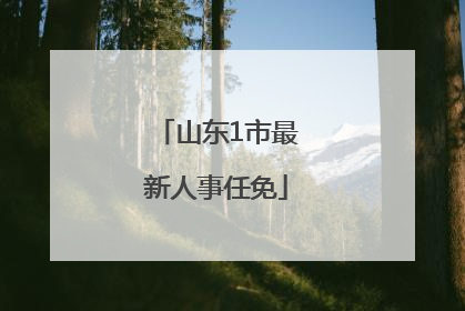 山东1市最新人事任免
