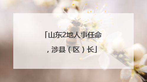 山东2地人事任命，涉县（区）长