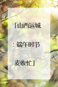 山西运城：端午时节麦收忙