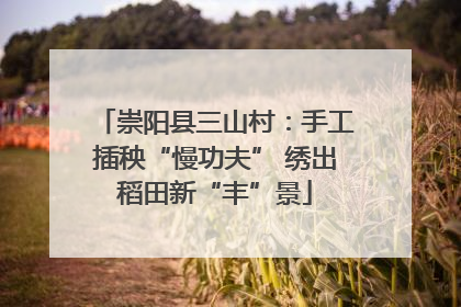 崇阳县三山村：手工插秧“慢功夫” 绣出稻田新“丰”景