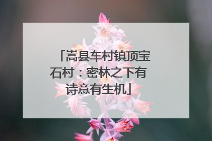 嵩县车村镇顶宝石村：密林之下有诗意有生机