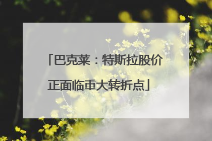 巴克莱：特斯拉股价正面临重大转折点