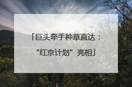 巨头牵手种草直达：“红京计划”亮相