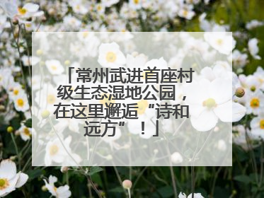 常州武进首座村级生态湿地公园，在这里邂逅“诗和远方”！