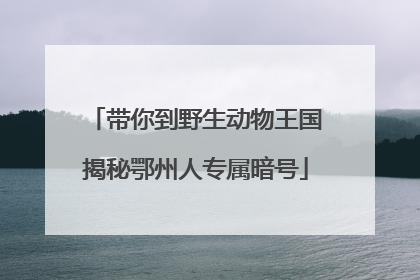 带你到野生动物王国揭秘鄂州人专属暗号