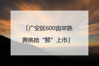 广安区600亩早熟黄桃抢“鲜”上市