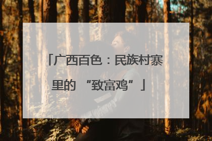 广西百色：民族村寨里的 “致富鸡”
