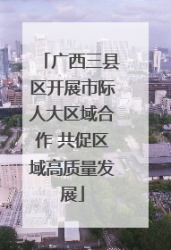 广西三县区开展市际人大区域合作 共促区域高质量发展
