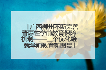 广西柳州不断完善普惠性学前教育保障机制——三个优化绘就学前教育新图景