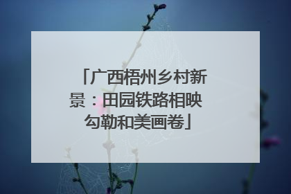 广西梧州乡村新景：田园铁路相映 勾勒和美画卷