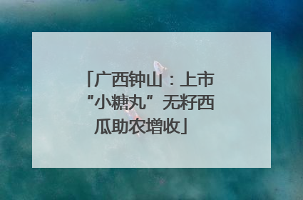 广西钟山：上市“小糖丸”无籽西瓜助农增收