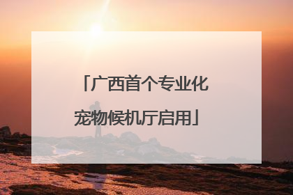 广西首个专业化宠物候机厅启用
