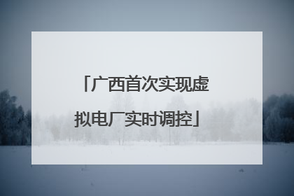 广西首次实现虚拟电厂实时调控