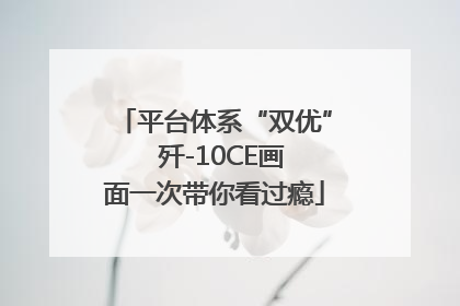 平台体系“双优”  歼-10CE画面一次带你看过瘾