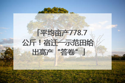 平均亩产778.7公斤！宿迁一示范田给出高产“答卷”
