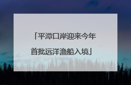 平潭口岸迎来今年首批远洋渔船入境