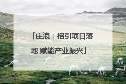 庄浪：招引项目落地 赋能产业振兴