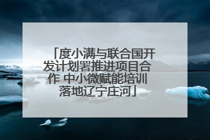 度小满与联合国开发计划署推进项目合作 中小微赋能培训落地辽宁庄河