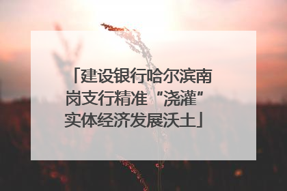 建设银行哈尔滨南岗支行精准“浇灌”实体经济发展沃土