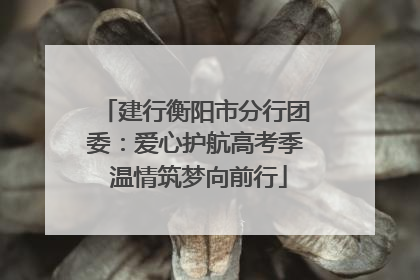建行衡阳市分行团委：爱心护航高考季 温情筑梦向前行