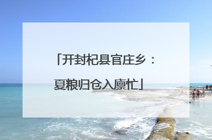 开封杞县官庄乡：夏粮归仓入廪忙