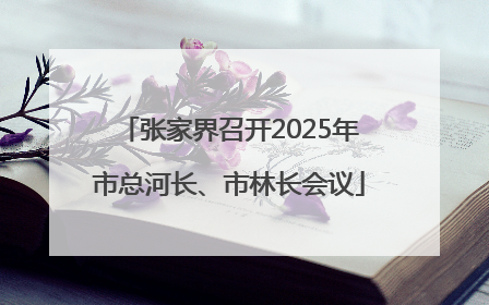 张家界召开2025年市总河长、市林长会议