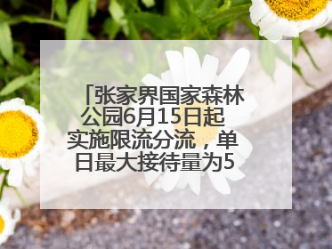 张家界国家森林公园6月15日起实施限流分流，单日最大接待量为5.3万人