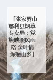 张家界市慈利县烟草专卖局：党旗映照风雨路 金叶情深暖山乡