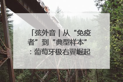 弦外音｜从“免疫者”到“典型样本”：葡萄牙极右翼崛起背后的欧洲困局