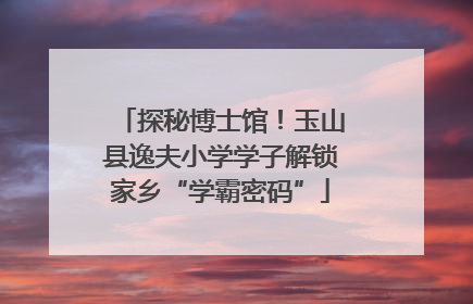 探秘博士馆！玉山县逸夫小学学子解锁家乡“学霸密码”