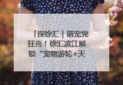 探徐汇｜萌宠党狂喜！徐汇滨江解锁“宠物游轮+天台乐园”双玩法