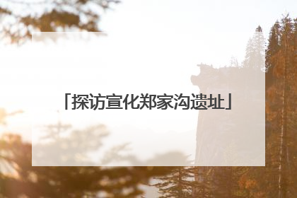 探访宣化郑家沟遗址
