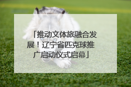 推动文体旅融合发展！辽宁省匹克球推广启动仪式启幕