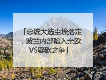 总统大选尘埃落定，波兰内部陷入亲欧VS疑欧之争