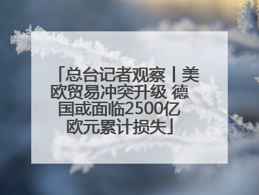 总台记者观察丨美欧贸易冲突升级 德国或面临2500亿欧元累计损失