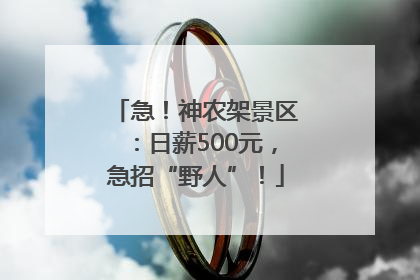 急！神农架景区：日薪500元，急招“野人”！