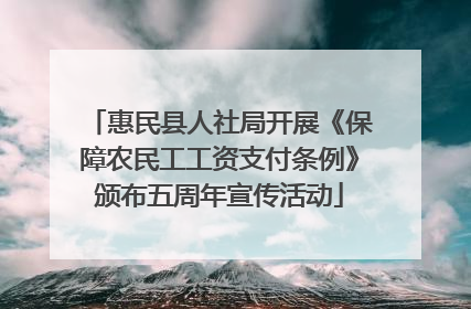 惠民县人社局开展《保障农民工工资支付条例》颁布五周年宣传活动